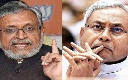 CM Nitish  पर  छोटे मोदी का जबरदस्त हमला, कह दी ऐसी बात कि नीतीश कुमार के उड़ गए होस