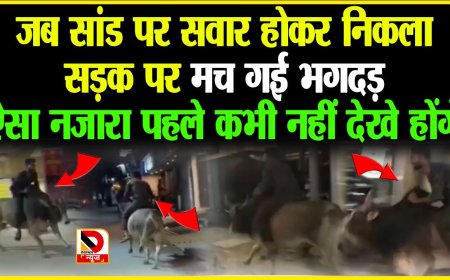 जब सांड पर सवार होकर निकला सड़क पर तो मच गई भगदड़, ऐसा नजारा पहले कभी नहीं देखे होंगे