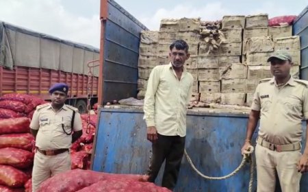 गोपालगंज के बलथरी चेक पोस्ट पर वाहन जांच  के दौरान 50 लाख रुपये की शराब जप्त, प्याज की बोरी में हरियाणा से लायी जा रही थी शराब