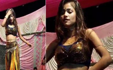 सीतामढ़ी में कृष्ण जन्माष्टमी पूजा पर बार-बालाओं ने जमकर लगाए ठुमके,  वीडियो हुआ वायरल