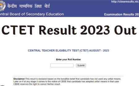 CTET का रिजल्ट जारी, बिहार से 50 हजार अभ्यर्थी हुए सफल, यहां मिलेगा Direct Link