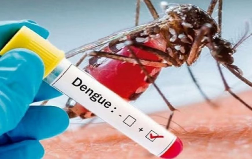 डेंगू का नया वेरिएंट मिलते ही सरकार ने जारी किया हेल्पलाइन नंबर, एकसाथ मिले 53 पॉजिटिव मरीज