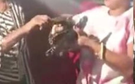 बेतिया के कट्टा गर्ल्स - अवैध हथियार के साथ डांसर लगा रही जमकर ठुमके, वीडियो वायरल