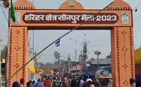 नहीं सजेगा इस बार का सोनपुर मेला, नहीं मिला थिएटर का लाइसेंस, आक्रोश में कारोबारी