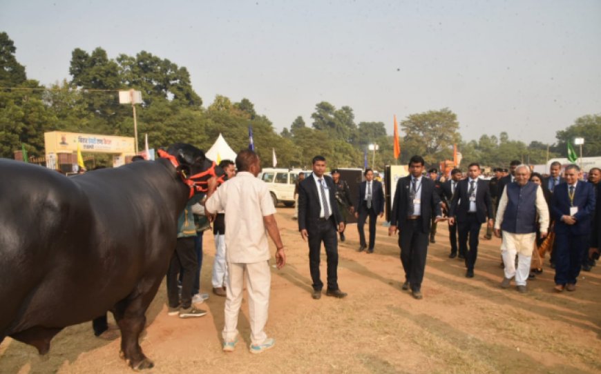 पटना में पहुंचा 10 करोड़ का भैंसा, CM नितीश भैंसे को देखकर हो गये हैरान