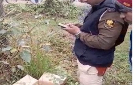 कार्टून में मिला नवजात बच्ची का शव, इलाके में सनसनी