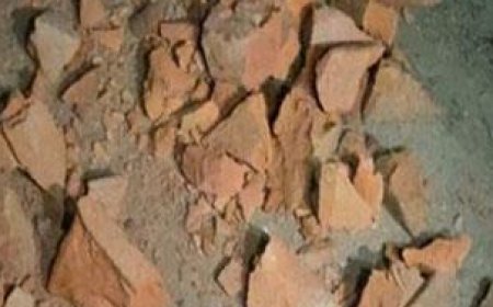 मूर्ति विसर्जन को लेकर पटना में चली कई राउंड गोलियां और जमकर हुई रोड़ेबाजी, इलाके में दहशत