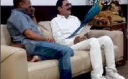 अनंत सिंह और अशोक चौधरी के तोते से खेलते वीडियो आया सामने, अलग अंदाज में दिखे छोटे सरकार 