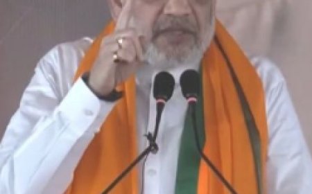 आरा में अमित शाह ने दिया जोरदार भाषण, कहा - राहुल और लालू का सूपड़ा जो गया साफ़ 