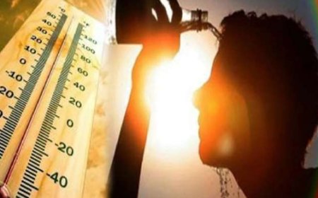 बिहार में हीटवेव का कहर!, IMD ने जारी किया अलर्ट