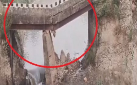 सिवान में गंडक नहर पर बना पुल गिरा, वीडियो आया सामने 