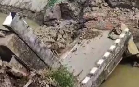 बिहार सरकार ने पुल गिरने वाले मामले पर 15 अभियंता को किया निलंबित, मातेश्वरी कंस्ट्रक्शन कंपनी को किया ब्लैक लिस्ट
