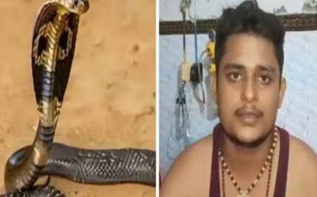 यूपी के विकास को स्नेक फोबिया है? या सच में पीछे ही पड़ गया सांप?