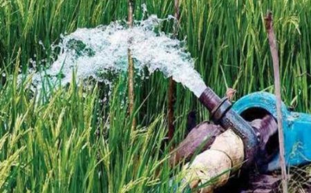 बिहार के किसान ना हो परेशान, सरकार अब देंगी डीजल अनुदान, तुरंत करें आवेदन  