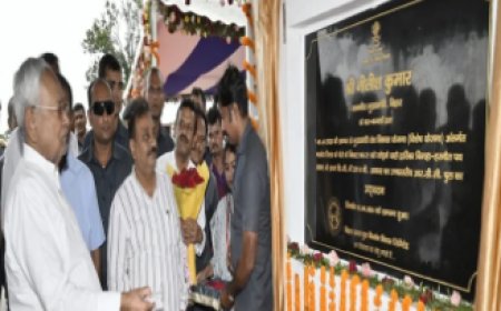 मुख्यमंत्री नीतीश कुमार ने नालंदा को दी बड़ी सौगात, हरनौत के द्वारिका बिगहा में किया पुल का उद्घाटन 
