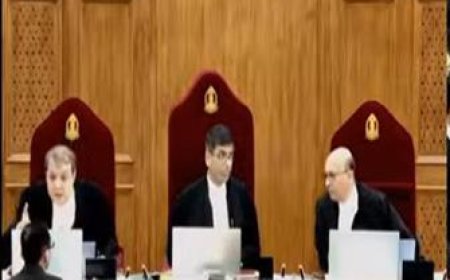 बंगाल डॉक्टर रेप-मर्डर केस : नैशनल टास्क फोर्स का गठन, अस्पताल और पुलिस को जमकर लताड़ा