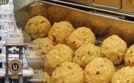 तिरुपति बालाजी के प्रसाद में मिलावट, आस्था से हुआ खिलवाड़, जांच में जुटी प्रशासन