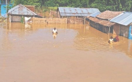 Bihar flood : कोसी के कहर से कई इलाके डूबे, राहत-बचाव जारी