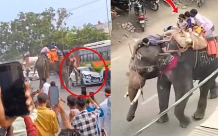 सारण में दशहरा जुलूस के दौरान हाथी ने मचाया उत्पात, वीडियो हुआ वायरल