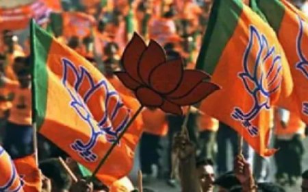 बीजेपी ने झारखंड विधानसभा चुनाव की पहली लिस्ट की जारी, 66 कैंडिडेट के नाम जारी