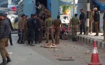 श्रीनगर में CRPF के बंकर पर ग्रेनेड से हमला, 12 नागरिक घायल