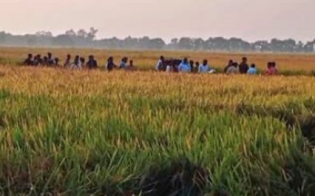 सासाराम में भाई बहन के शव मिलने से सनसनी, इलाके में मचा कोहराम