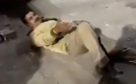 अंगूर की बेटी की ख़ता... सहारे को मोहताज़ साहब!, यूपी के पियक्कड़ पुलिस का वीडियो वायरल