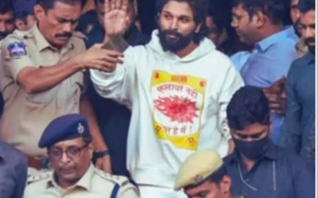 तेलुगू अभिनेता अल्लू अर्जुन को भेजा गया 14 दिन की न्यायिक हिरासत में, भगदड़ मामले में हुई कार्रवाई 