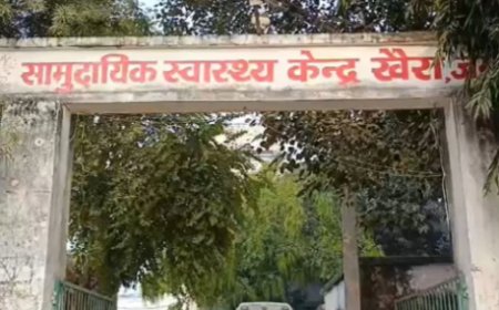 बिहार का एक ऐसा? सरकारी अस्पताल जहां कुत्तों ने नवजात के शव को खाया, परिजनों ने किया हंगामा