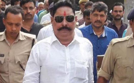 पूर्व विधायक अनंत सिंह को बड़ा झटका, कोर्ट ने खारिज की जमानत याचिका