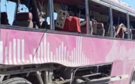 एक बार फिर BLA ने पाकिस्तानी सेना को बनाया निशाना,90 सैनिकों की मौत का दावा !