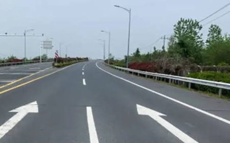 पटना को बड़ी सड़क परियोजना की मिली सौगात, नितिन गडकरी से सांसद रविशंकर प्रसाद  ने की मुलाकात, NH-22 से NH-31 तक सड़क चौड़ीकरण की मांग