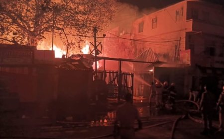 राजधानी पटना में आरा मशीन में लगी आग, 1 करोड़ का नुकसान,40 लोगों का दमकल कर्मियों ने किया रेस्क्यू