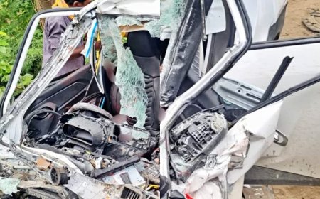 सिवान में भीषण सड़क हादसा, ट्रक ने उड़ाया, तीन की मौत, गाड़ी में फंसी बॉडी, ड्राइवर की हालत गंभीर