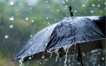 बिहार में पूरी तरह एक्टिव हुआ मॉनसून, 25 जिलों में ऑरेंज और 13 में यलो अलर्ट जारी