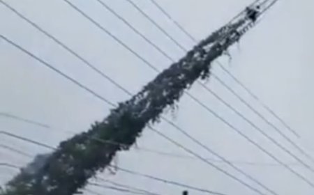 पटना सिटी में CCTV टावर तेज आंधी-बारिश से झुका, बिजली के तारों पर अटका, ट्रैफिक डायवर्ट,देर रात पटना पुलिस ने क्रेन से हटवाया