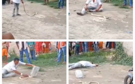 हाजीपुर में सांप रेस्क्यू के दौरान दर्दनाक हादसा: 2 मिनट में सर्प मित्र जेपी यादव की मौत, घटनास्थल पर अफरा-तफरी,वीडियो वायरल