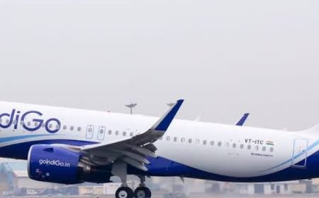 पटना एयरपोर्ट पर बड़ा हादसा टला: इंडिगो फ्लाइट की लैंडिंग से पहले पायलट ने दिखाया सूझबूझ, 173 यात्रियों की बची जान