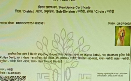 पटना के मसौढ़ी में कुत्ते के नाम पर जारी हुआ आवासीय प्रमाण पत्र, DM ने दिए जांच के आदेश