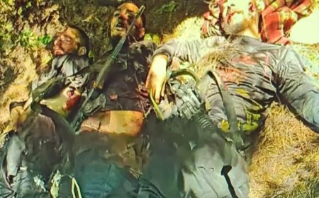 ऑपरेशन महादेव:, श्रीनगर मुठभेड़ में सुरक्षा बलों ने तीन आतंकवादियों को मार गिराया, पहलगाम हमले में दो थे शामिल