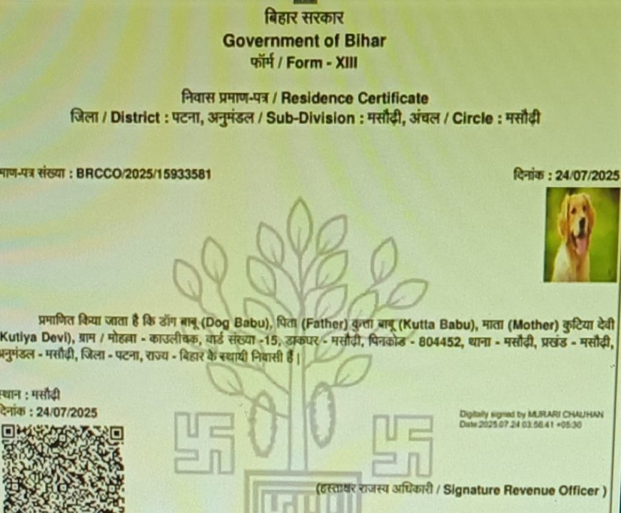 पटना के मसौढ़ी में कुत्ते के नाम पर जारी हुआ आवासीय प्रमाण पत्र, DM ने दिए जांच के आदेश