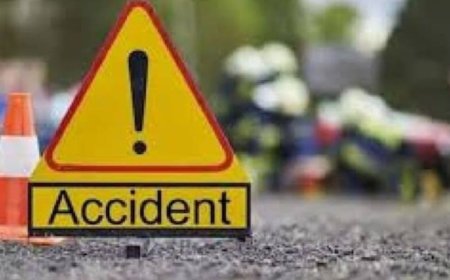 रोहतास में तेज रफ्तार थार का तांडव:,चार को रौंदा, महिला की मौत, इलाके में तनाव