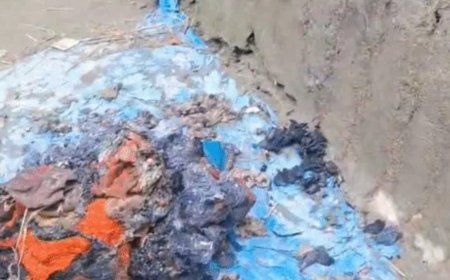 कटिहार में रास्ते के विवाद में पिता-पुत्र को जिंदा जलाया, आग बुझाने को जमीन पर लोटता रहा मासूम...मौत, पिता ICU में भर्ती