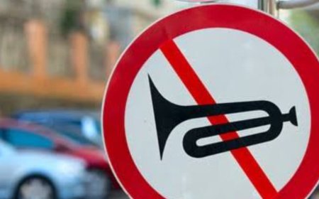 पटना में हर रविवार मनाया जाएगा 'नो हॉर्न डे',2 अक्टूबर तक चलेगा खास अभियान, ध्वनि प्रदूषण पर रोक लगाने की पहल