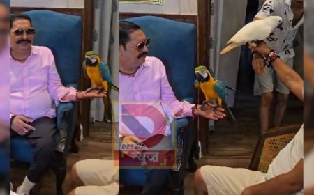 गाय को खिलाया गुड़…हाथ पर तोता…,अनंत सिंह और अशोक चौधरी की दोस्ती का नया वीडियो वायरल