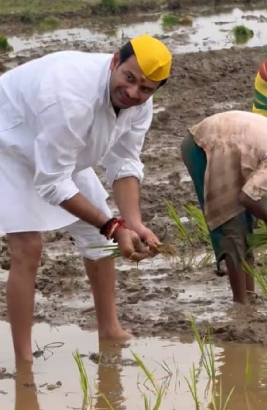 धान रोपते दिखे तेज प्रताप यादव, शाहपुर में महिला किसानों से किया संवाद, चुनावी रणनीति या जमीनी जुड़ाव?