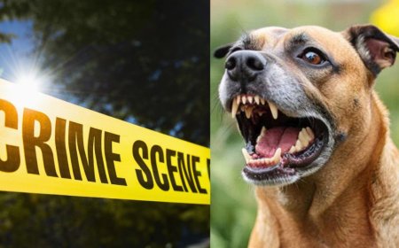 कुत्ते की आवाज़ बनी मौत की वजह, चचेरे भाई ने मारी गोली, ग्रामीणों ने आरोपी को जमकर पीटा