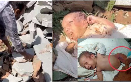 ममता की शर्मनाक चोट: भीलवाड़ा में मासूम नवजात के साथ अमानवीय कृत्य,नन्हे मुंह में पत्थर ठूंसे, होंठ फेवीक्विक से चिपकाया