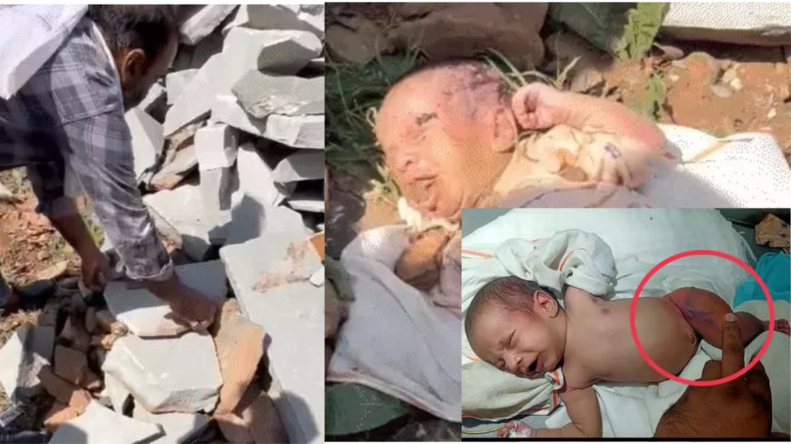 ममता की शर्मनाक चोट: भीलवाड़ा में मासूम नवजात के साथ अमानवीय कृत्य,नन्हे मुंह में पत्थर ठूंसे, होंठ फेवीक्विक से चिपकाया