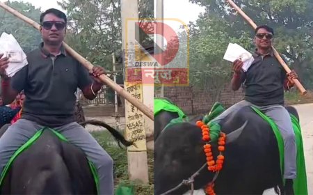 बिहार विधानसभा चुनाव 2025: भैंस पर सवार होकर वोट डालने पहुंचे लालू यादव के करीबी नेता केदार यादव,बने आकर्षण का केंद्र